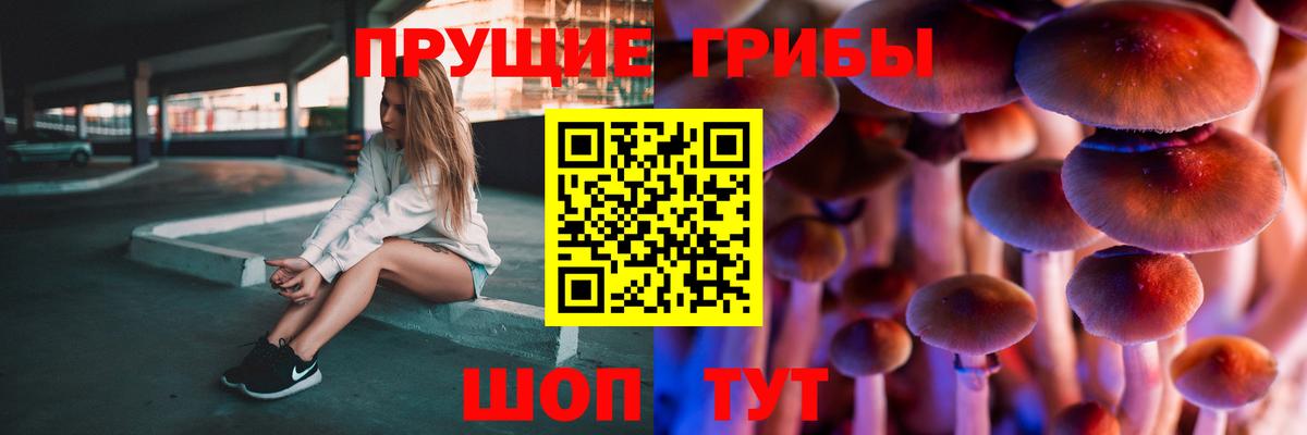 Галлюциногенные грибы ЛСД Гулькевичи
